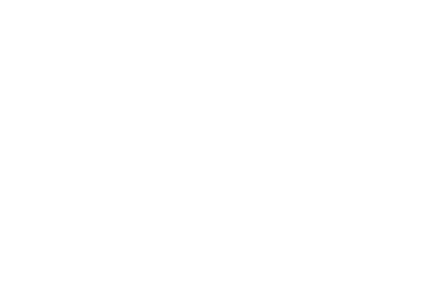 Cat in a box